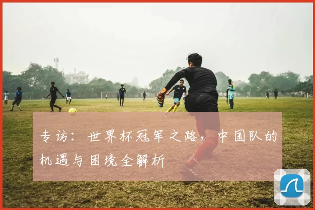 专访:世界杯冠军之路,中国队的机遇与困境全解析