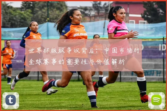 世界杯版权争议背后:中国市场对全球赛事的重要性与价值解析