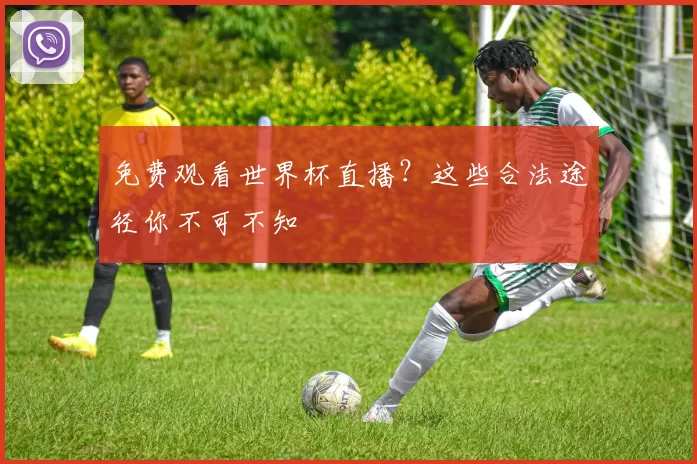 免费观看世界杯直播？这些合法途径你不可不知
