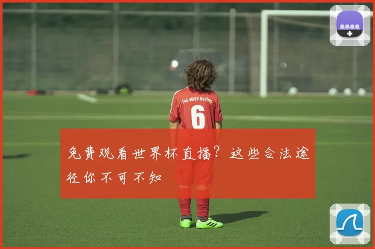 免费观看世界杯直播?这些合法途径你不可不知