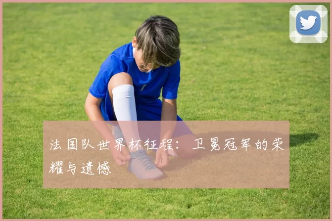 法国队世界杯征程：卫冕冠军的荣耀与遗憾