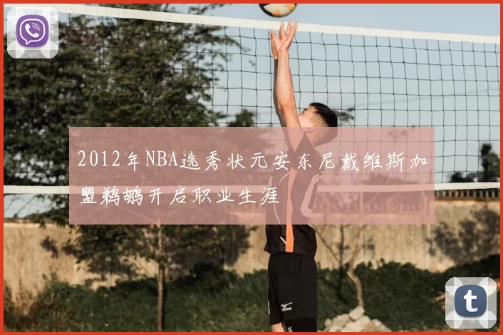 2012年NBA选秀状元安东尼戴维斯加盟鹈鹕开启职业生涯