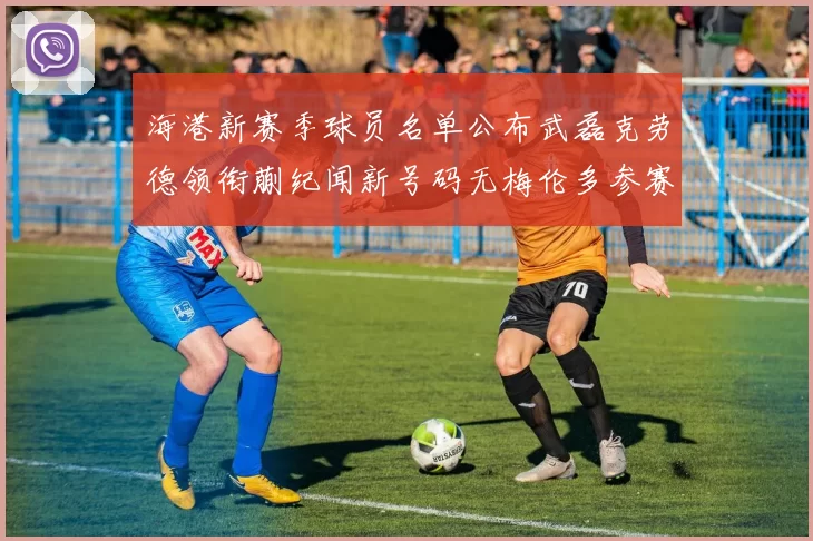 海港新赛季球员名单公布武磊克劳德领衔蒯纪闻新号码无梅伦多参赛