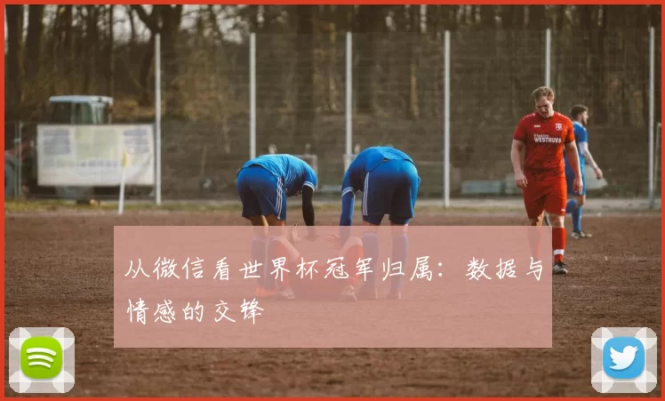 从微信看世界杯冠军归属：数据与情感的交锋