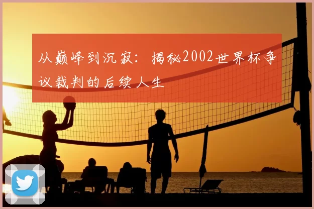 从巅峰到沉寂：揭秘2002世界杯争议裁判的后续人生